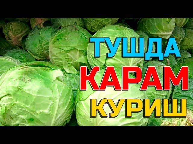 Туш табири - Тушда карам куриш