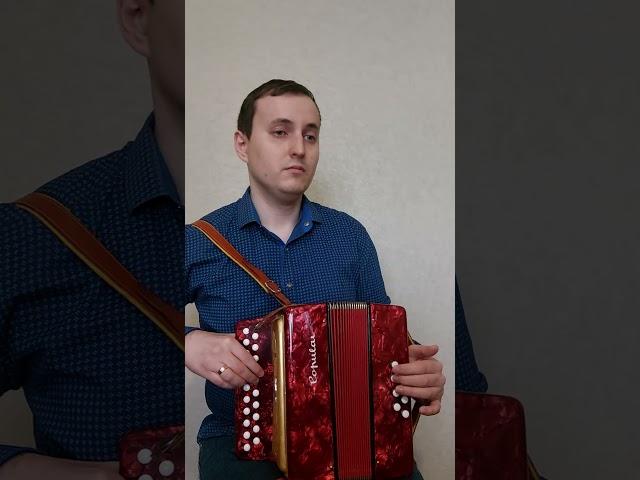Красивейший вальс на необычной гармошке (венке)#гармонь #вальс #beautifulmusic #akordeon #гармошка