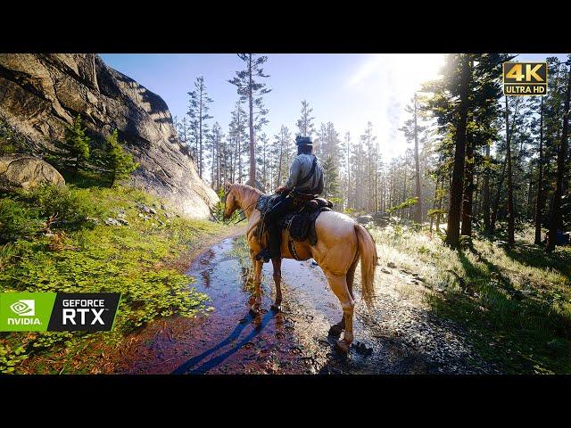 [4K] Red Dead Redemption 2  Photorealistic Graphics MOD | RTX3080TI Ryzen 9 5900X - Max Settings