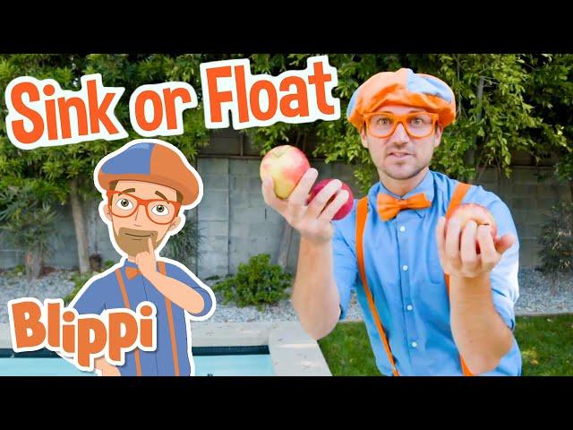 Sink or Float with Blippi! | Cool Science Experiment for Kids | Educational Videos For Toddlers