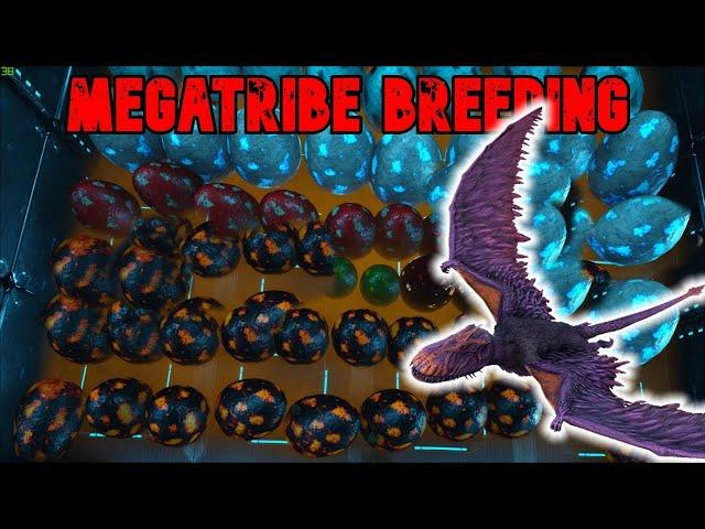 MegaTribe Life #21 - Breeding TIPS  | GONG GONG | Ark Official PvP  