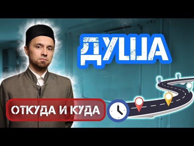 ПУТЕШЕСТВИЕ ДУШИ - ОТ КУДА И КУДА