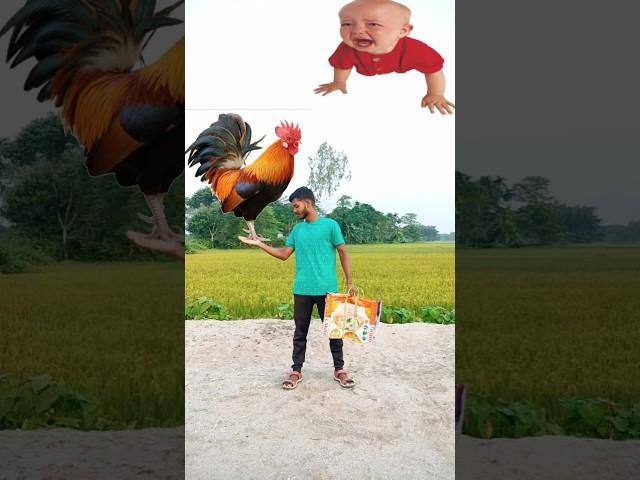 Flying crying babies catching vs hen, parrot & puppy vs yellow lizard - funny vfx magic