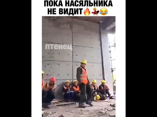 ЮМОР / НАСЯЛЬНИКА НЕ ВИДИТ / ПРИКОЛЫ / СМЕШНОЕ / ТАНЦЫ