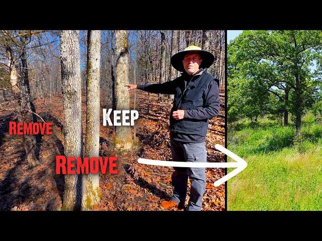 How To Improve Hardwood Timber for Wildlife - Part 1: Principles (801)