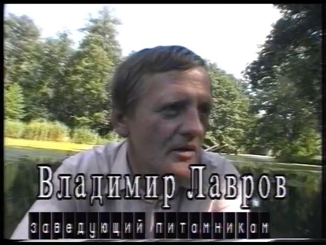 Воронежский биосферный заповедник (Студия Александра Никонова, 1997)