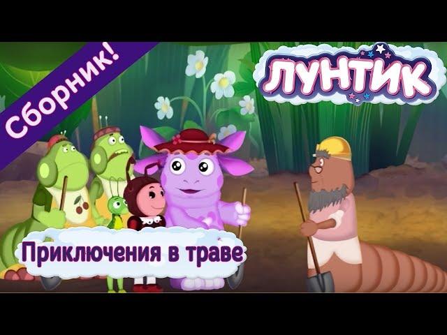 Лунтик  Приключения в траве  Сборник мультфильмов 2017