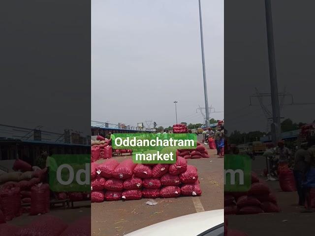 oddanchatram new market #oddanchatram #gandhimarket #onion #shortsfeed #trendingshorts