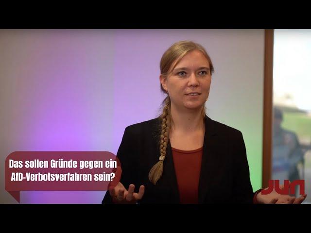 Das sollen Gründe gegen ein AfD-Verbotsverfahren sein?