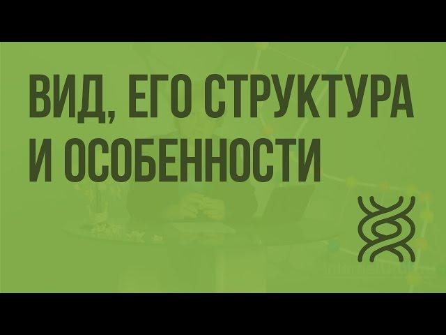 Вид, его структура и особенности. Видеоурок по биологии 9 класс