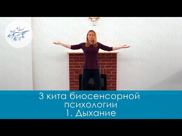 3 кита биосенсорной психологии. 1. Дыхание