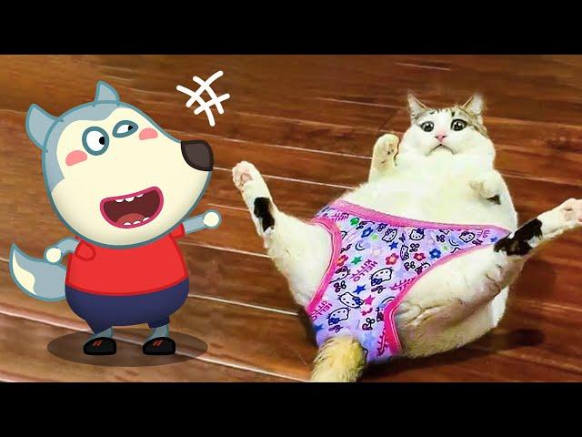 How Funny !! Little Cat vs Wolfoo Animation  Wolfoo in Real Life ! Funniest Cats And Dogs Videos