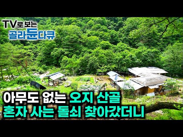 올 여름 멀리 갈 필요없다. 오지 산골에서 잘 해먹고 사는 사람들｜️한국 여름 비경 베스트️1시간 몰아보기｜한국기행｜#tv로보는골라듄다큐