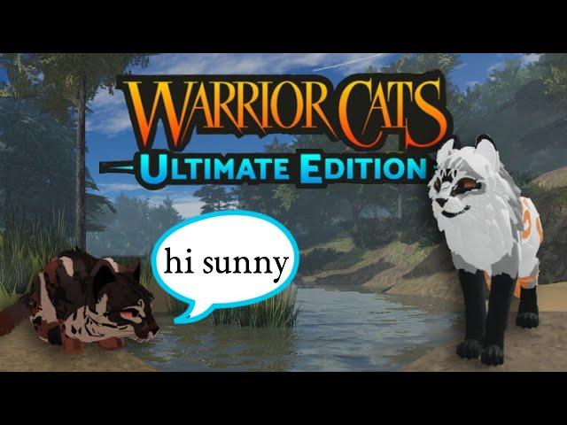 IF I GET RECOGNIZED THE VIDEO ENDS.. |Warrior Cats: Ultimate Edition