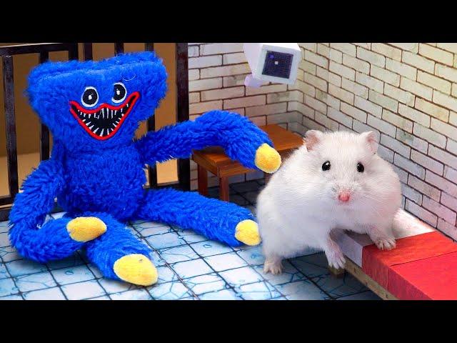 Hamster Prison Maze Adventure: The Great Escape 2024!