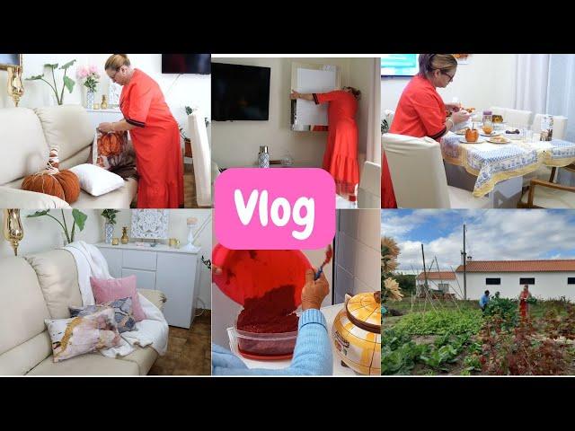 VLOG DA NOSSA REALIDADE/ FOMOS BUSCAR OS PAIS PRÁ CONSULTA/ FIZ COZIDO/ TIREI A DECORAÇÃO DE OUTONO