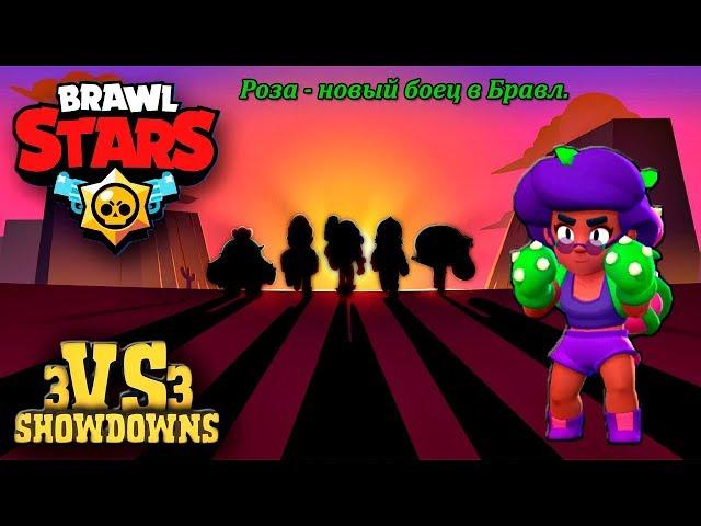 Brawl Stars gameplay / РОЗА новый боец в Бравл.