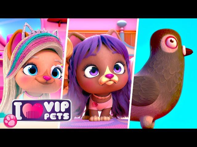  Episodios ÚNICOS  VIP PETS  CAPÍTULOS COMPLETOS  DIBUJOS ANIMADOS para NIÑOS