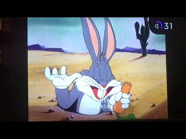 Bugs Bunny The Mask Marauder