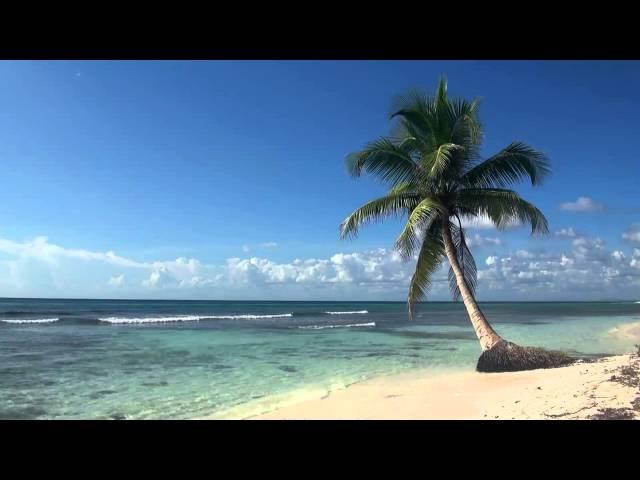  Relaxing 3 Hour Video of Tropical Beach with Blue Sky White Sand and Palm Tree