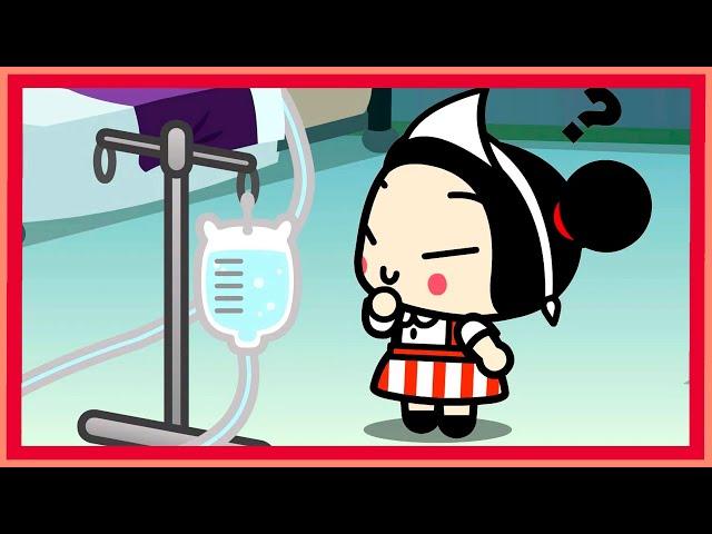 What jobs has Pucca done?