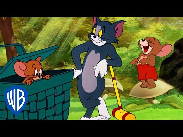 Tom y Jerry en Latino | ¡Un poco de aire fresco! | WB Kids