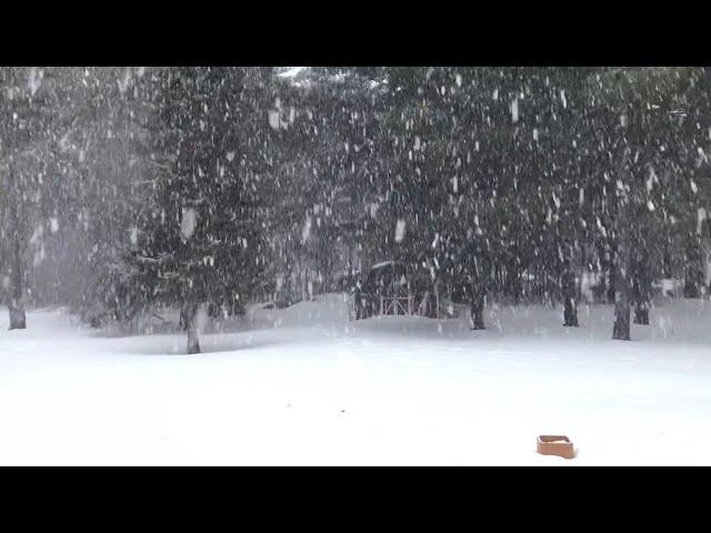 SONIDO DE TORMENTA DE NIEVE PARA DORMIR ️️