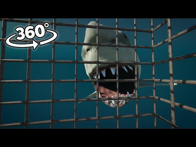 360° Shark is waiting you under the sea