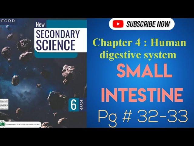 Small intestine chapter 4 human digestive system secondary Science class 6