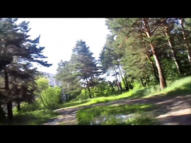 Вася пиздализ в лесу Vasya pussy licked in the forest