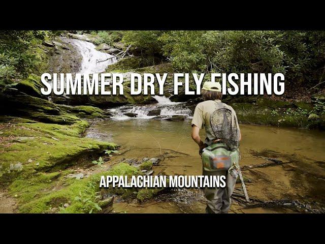 Summer Dry Fly Fishing Appalachian Small Streams