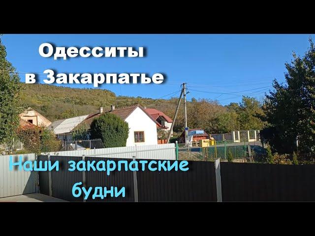 Еще один чудесный день в Закарпатье. Больше никогда не буду ВАРИТЬ каштаны!