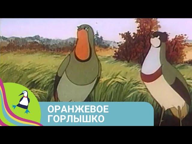 ‍‍‍ САМЫЙ ЛЮБИМЫЙ МУЛЬТФИЛЬМ! Оранжевое горлышко. Союзмультфильм. StarMediaKids