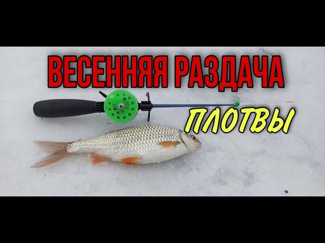 ЗИМНЯЯ РЫБАЛКА на МОРМЫШКУ. КАК найти ПЛОТВУ зимой. ловля плотвы зимой