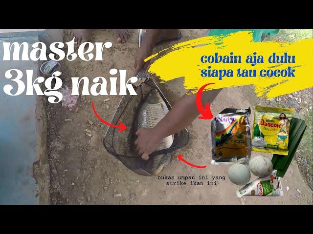 UMPAN IKAN MAS !! RESEP UMPAN IKAN MAS !! PELANGI AMIS GURIH !! ESSEN TRISULA MAUT !! #22