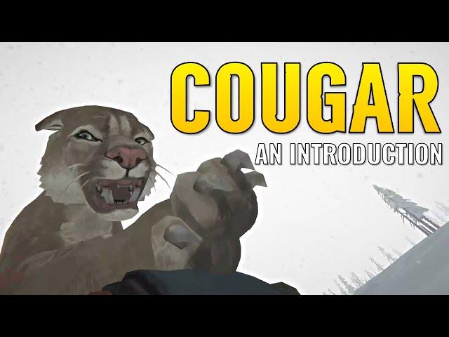 The Cougar Explained (The Long Dark)