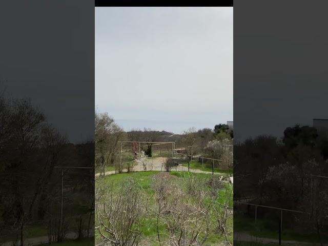 КРЫМ участок на ЮБК купить с Ярославом Фроловым