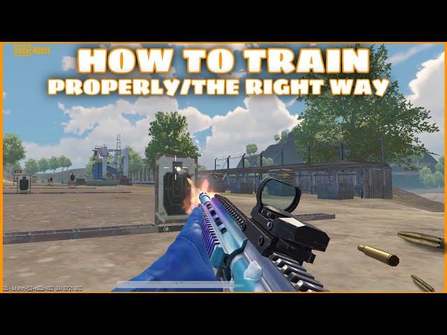 HOW TO TRAIN PROPERLY/THE RIGHT WAY | TIPS & TRICKS #5