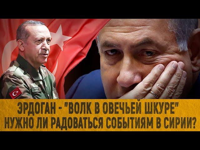 Эрдоган - "волк в овечьей шкуре"? / Нужно ли радоваться событиям в Сирии?