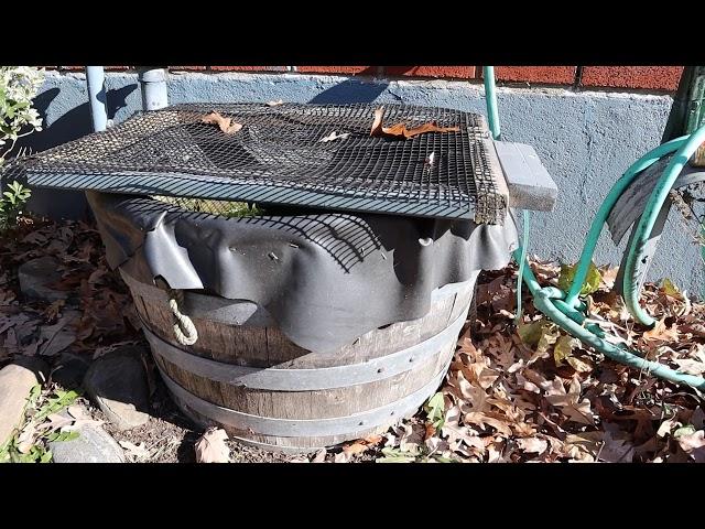 Wine Barrel Fishtank DIY, Jeff Goes Random in nature again