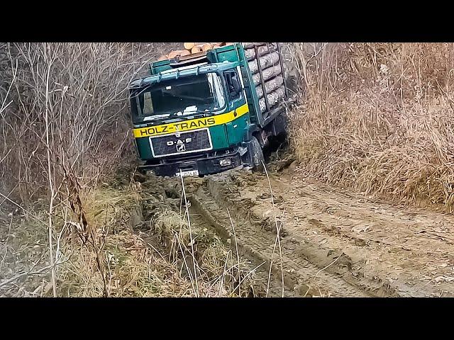 Logging Trucks Stuck in Mud! KAMAZ, MAN, DAF, VOLKSWAGEN, IVECO, TATA, TATRA, SHAKTIMAN, HUILI