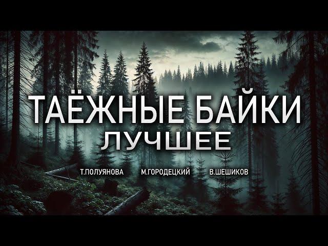 ЛУЧШИЕ ТАЁЖНЫЕ БАЙКИ | Таёжные Истории