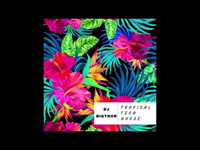 MIX TROPICAL TECH HOUSE 2022| DJ BIGTHOR