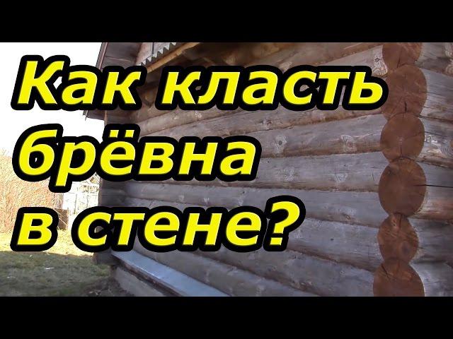 Принципы укладки брёвен в венцах и стенах. Сруб своими руками. Часть 11/1.