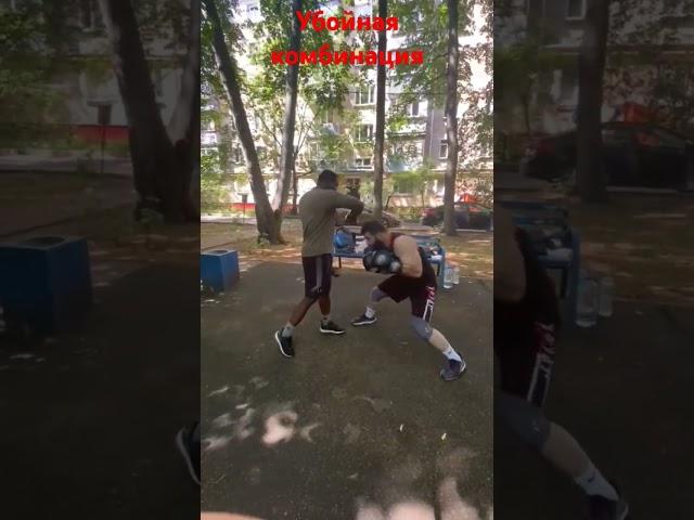 бокс  левша уронит любого этой комбинацией #shorts#boxing#бокс