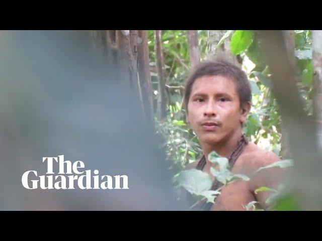 Footage of uncontacted tribesman in the Amazon rainforest