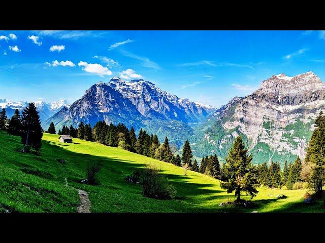 The Majestic Natural Landscapes Of Switzerland | Wild Faces Of Switzerland Marathon