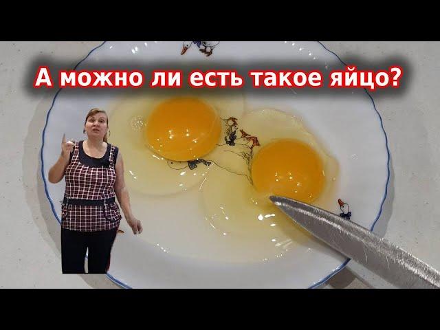 Куриные яйца с кровью, треснутые можно есть? Надо ли мыть яйца?