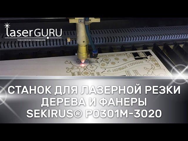  Станок для лазерной резки дерева и фанеры SEKIRUS P0301M-3020