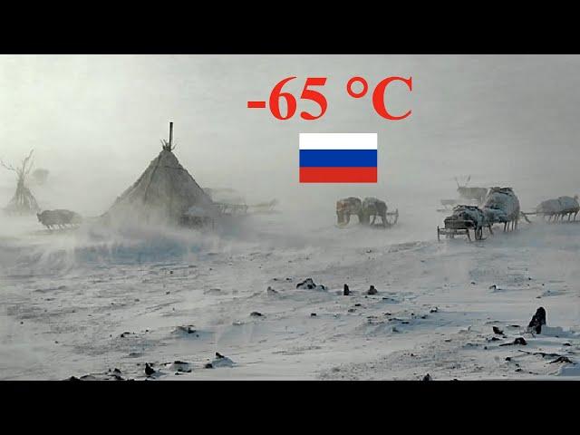 Arctic nomads survive the cold in the tundra. Their homes are unique! Russia